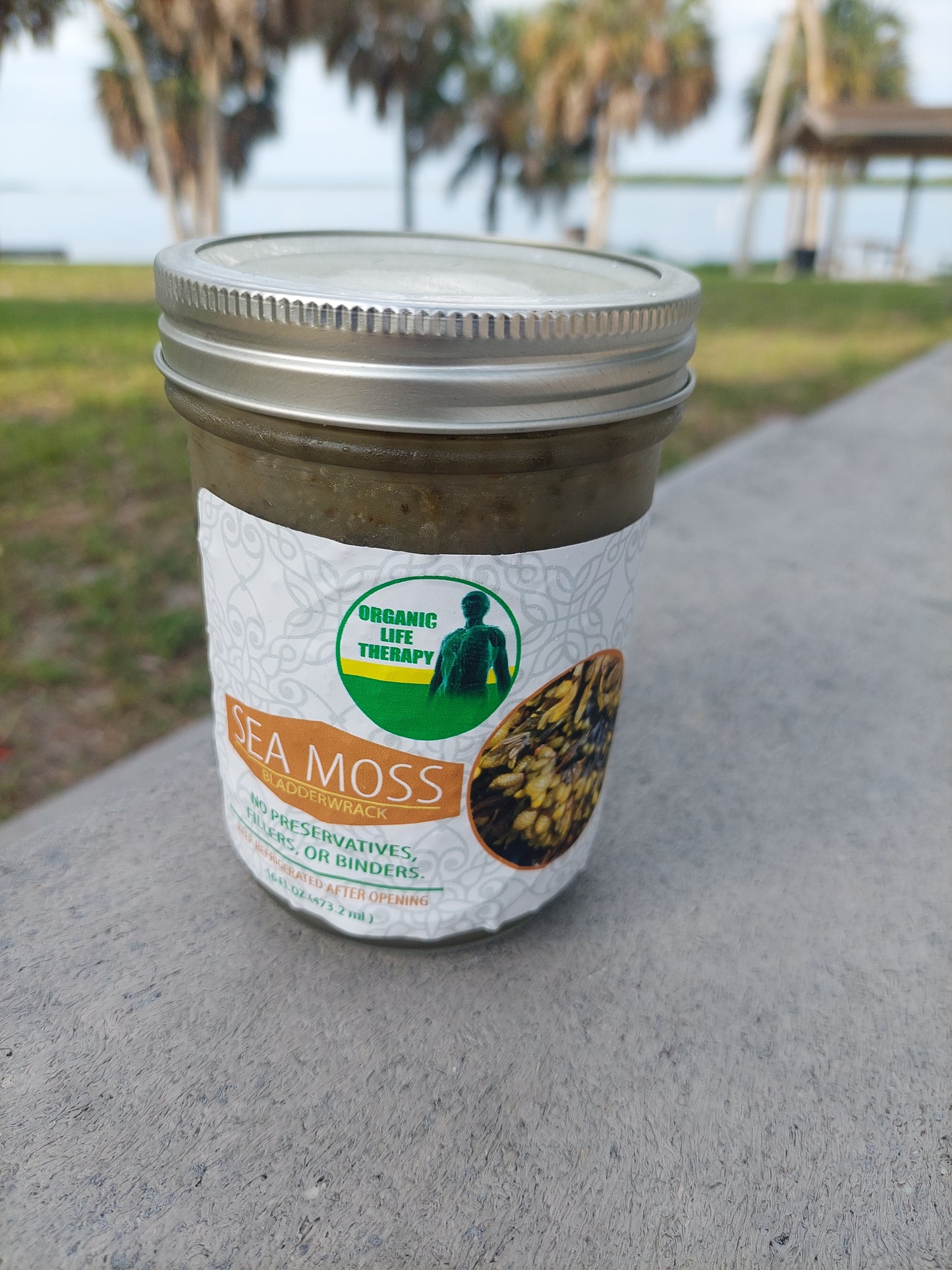 Bladderack Sea Moss Gel